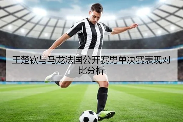 王楚钦与马龙法国公开赛男单决赛表现对比分析